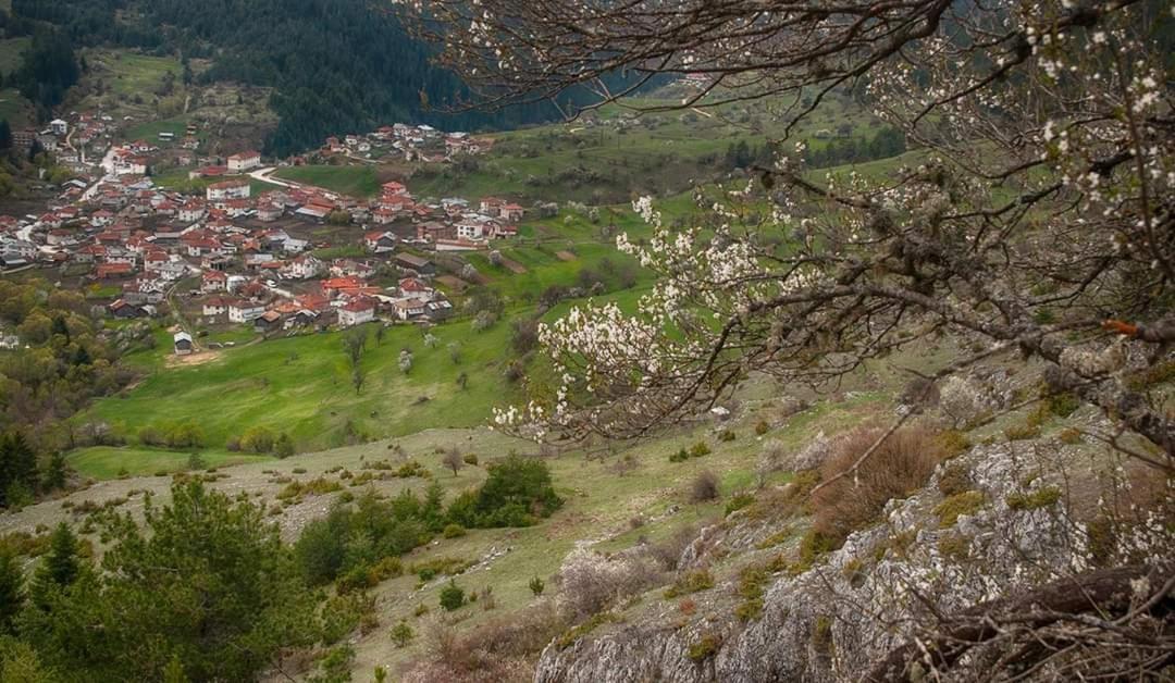 Вила Здравец Jagodina Kültér fotó