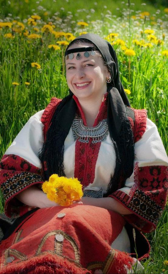 Вила Здравец Jagodina Kültér fotó