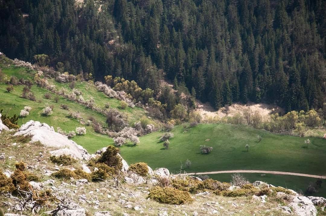 Вила Здравец Jagodina Kültér fotó