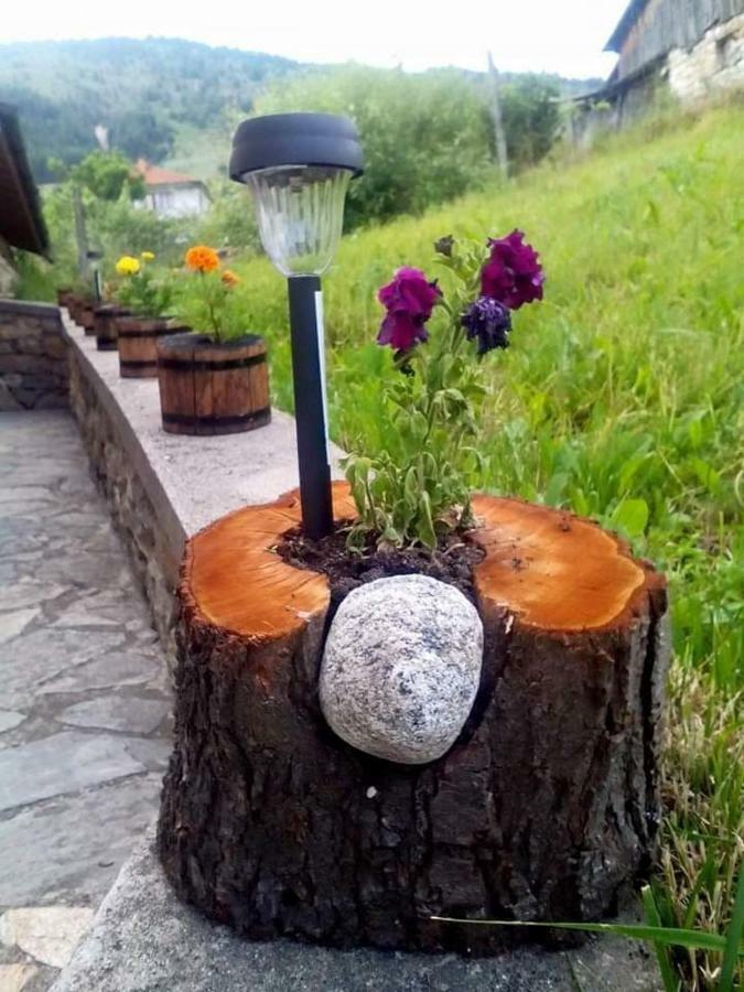 Вила Здравец Jagodina Kültér fotó